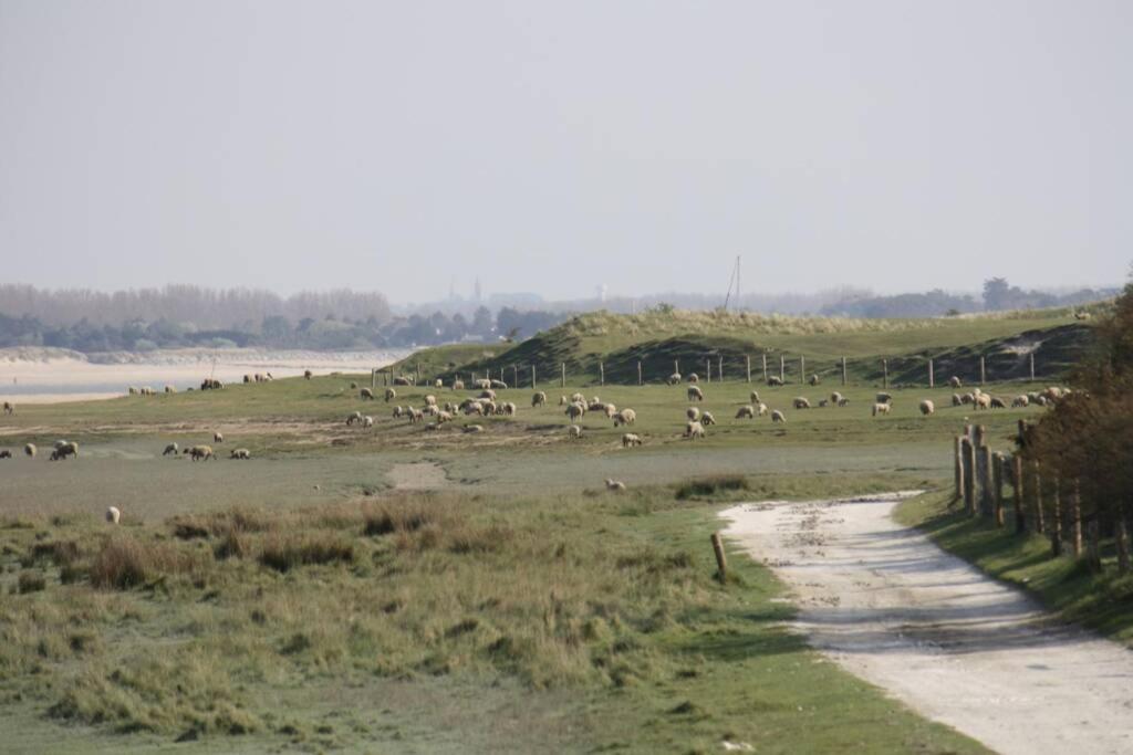 Gite Ouest De La Pointe D'Agon Zewnętrze zdjęcie