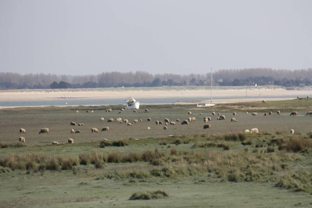 Gite Ouest De La Pointe D'Agon Zewnętrze zdjęcie